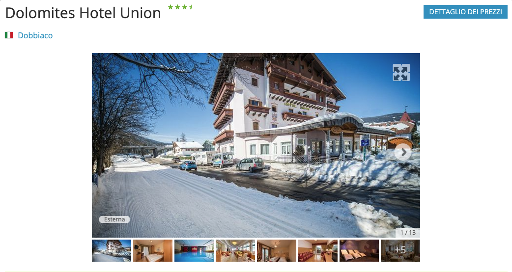 Partner Link snowtrex_it_ski_wl