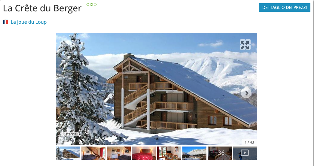 Partner Link snowtrex_it_ski_wl