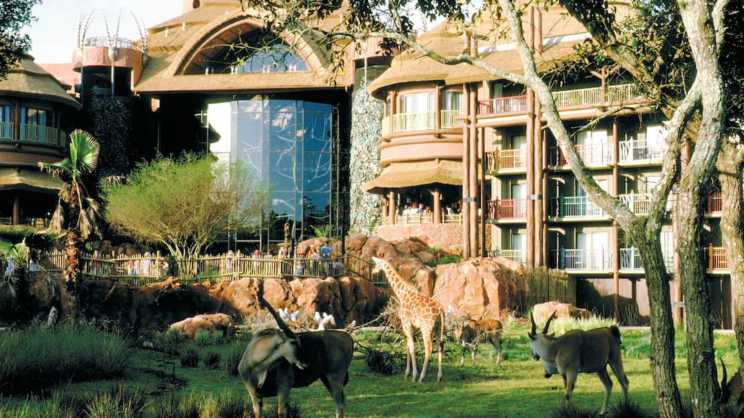 Dine with views of giraffes & other animals at this safari-themed hotel