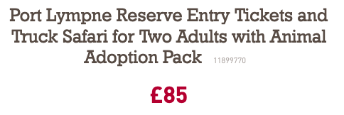 Partner Link buyagift_uk_activities_affiliate
