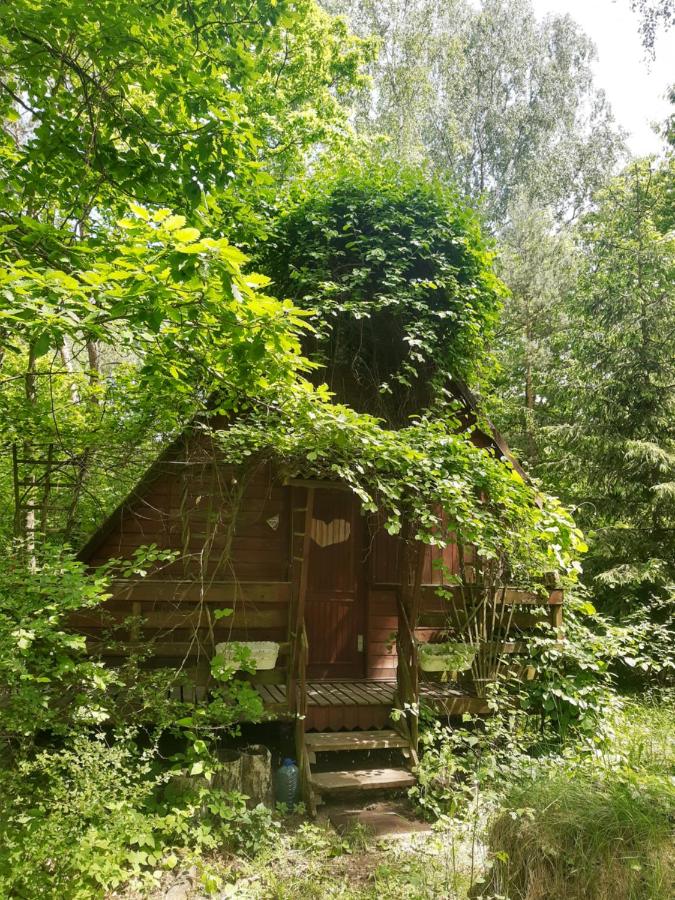 Partner Link trivago_pl_accommodations_affiliate