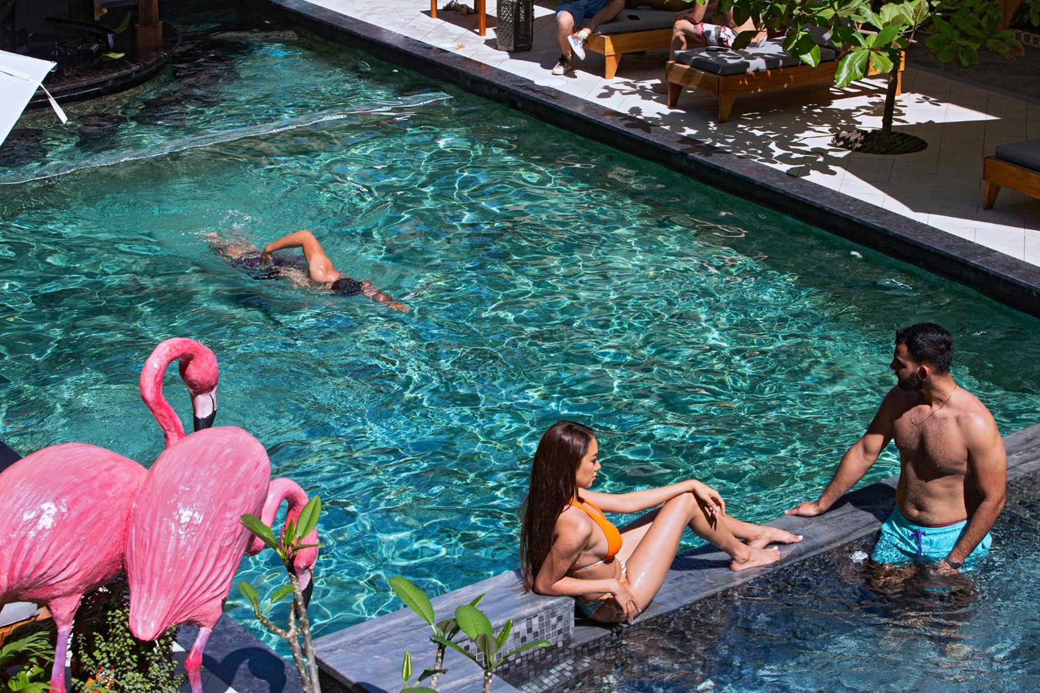Partner Link trivago_us_accommodations_affiliate