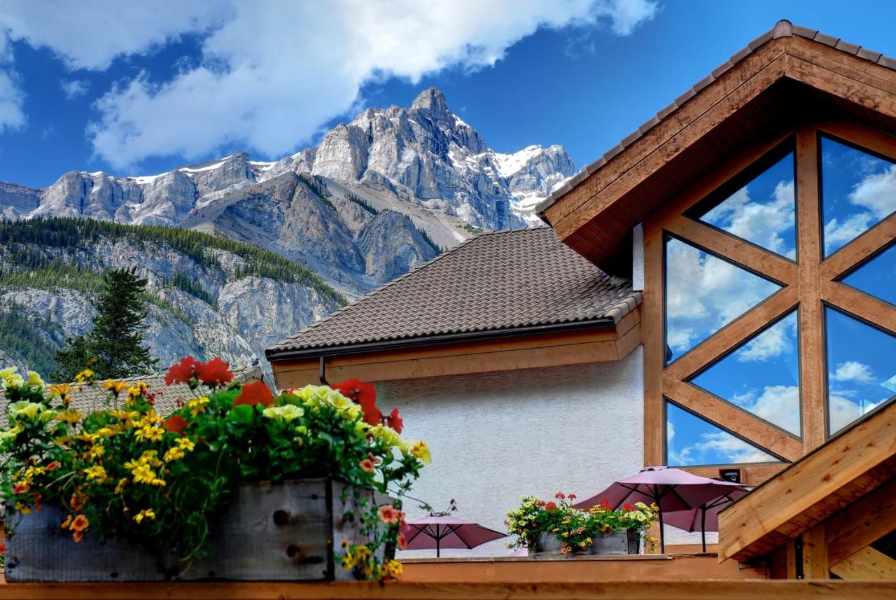 Partner Link trivago_us_accommodations_affiliate