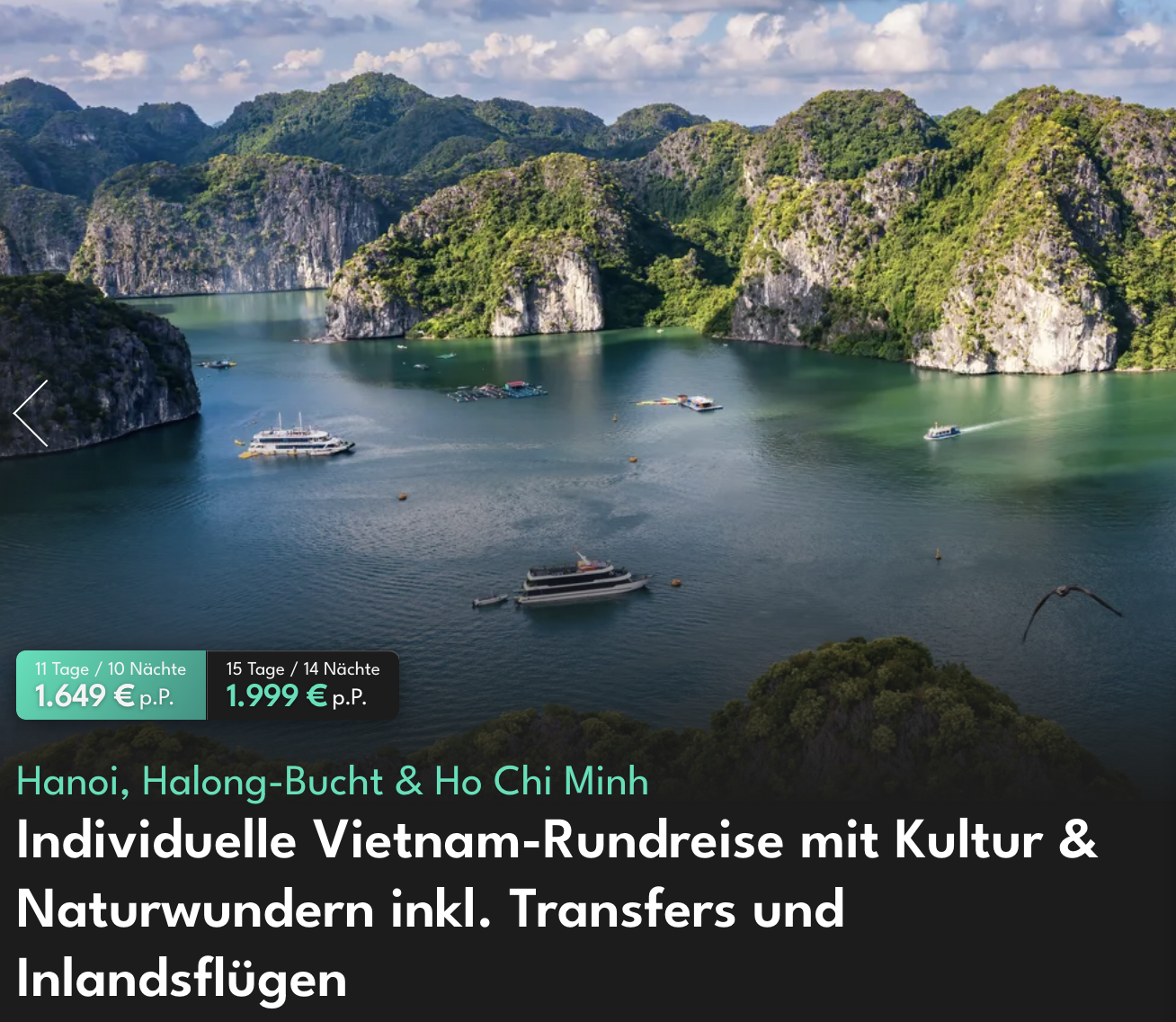 Partner Link vivido_de_packages_direct