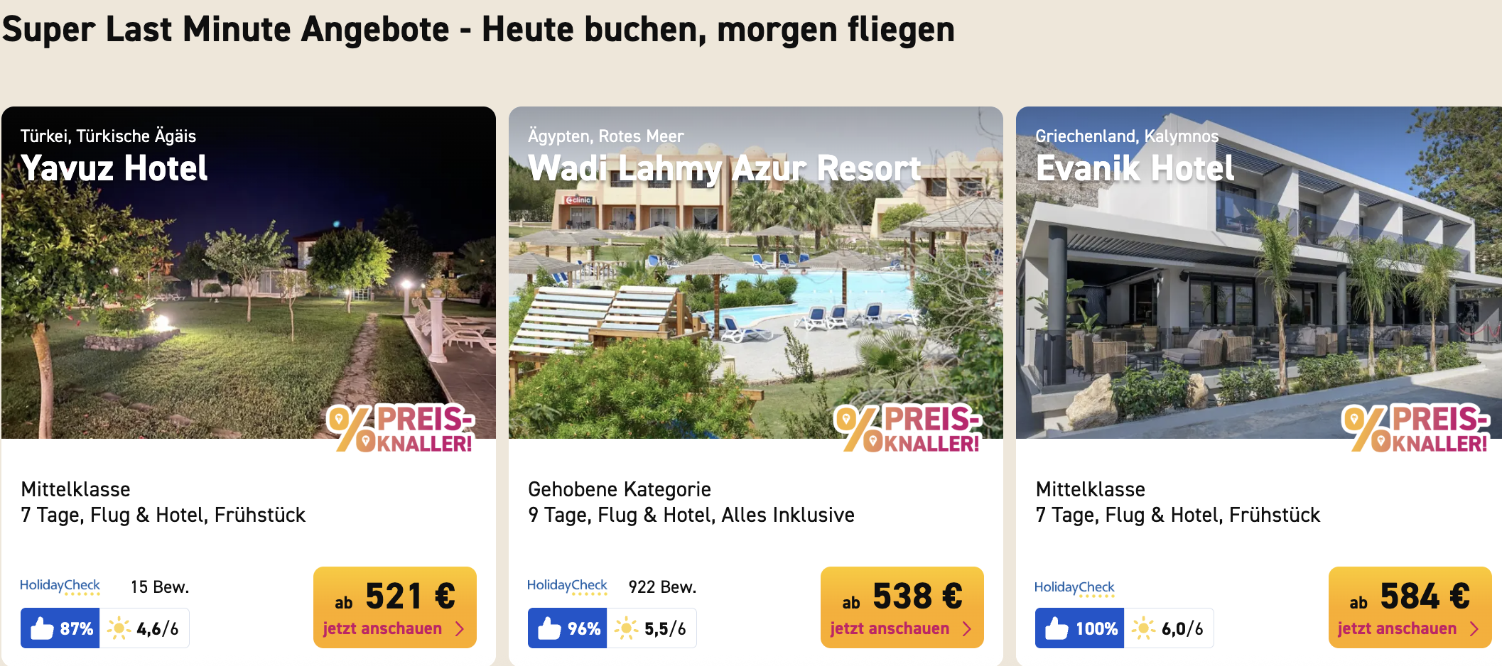 Partner Link ltur_de_packages_direct