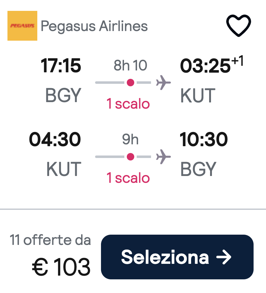 Partner Link skyscanner_it_flight_affiliate