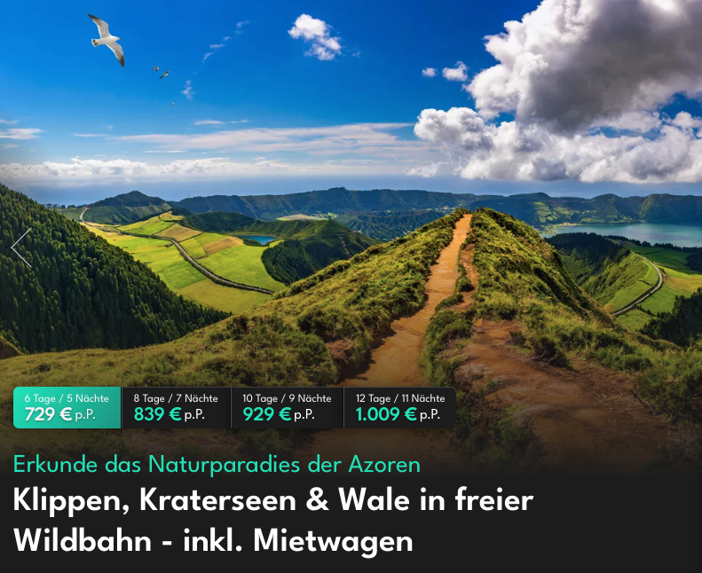 Partner Link vivido_de_packages_direct