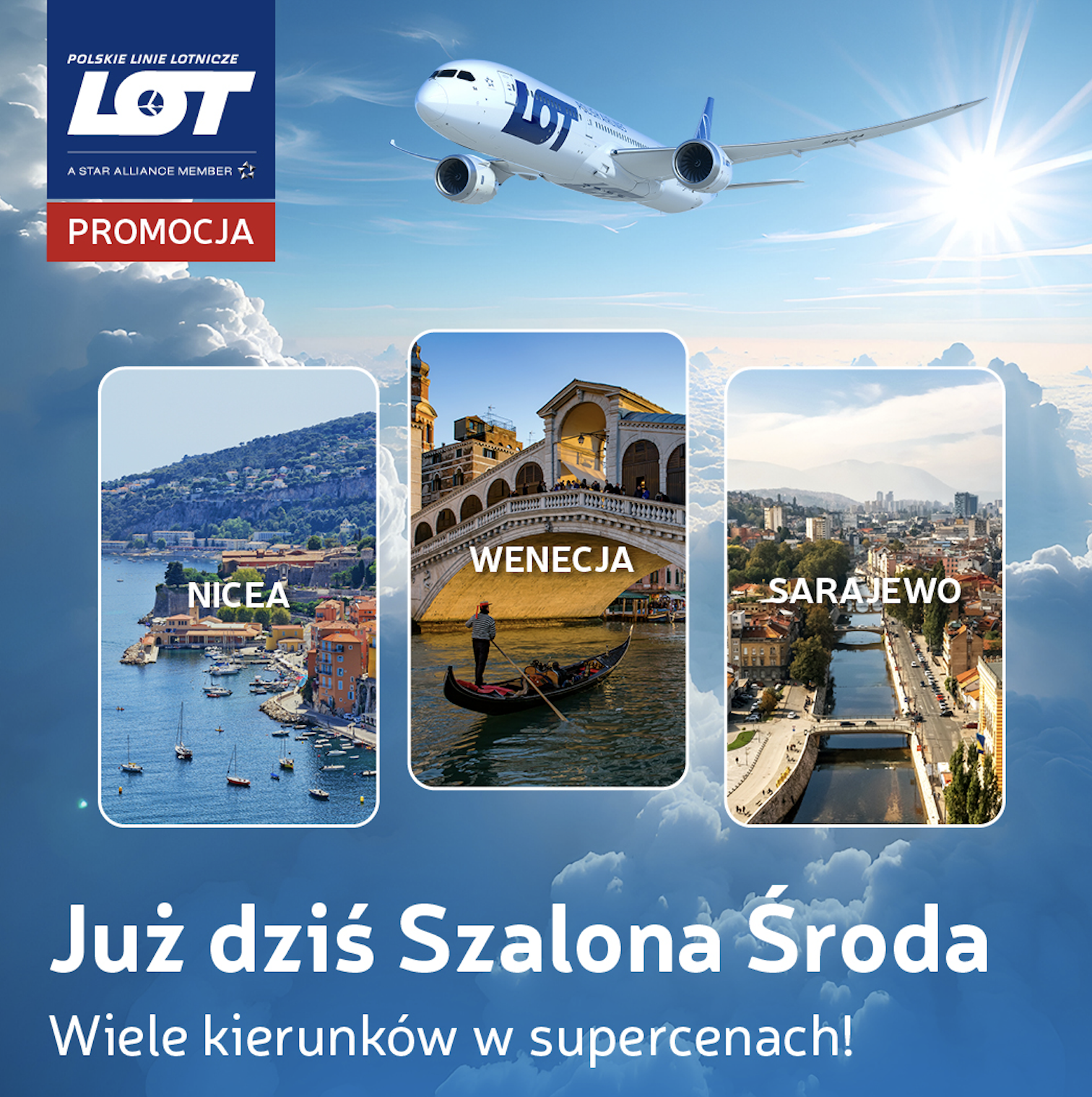 Partner Link lotpolishairlines_pl_flights_direct