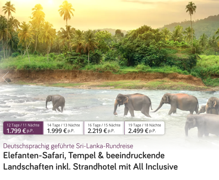 Partner Link vivido_de_packages_wl