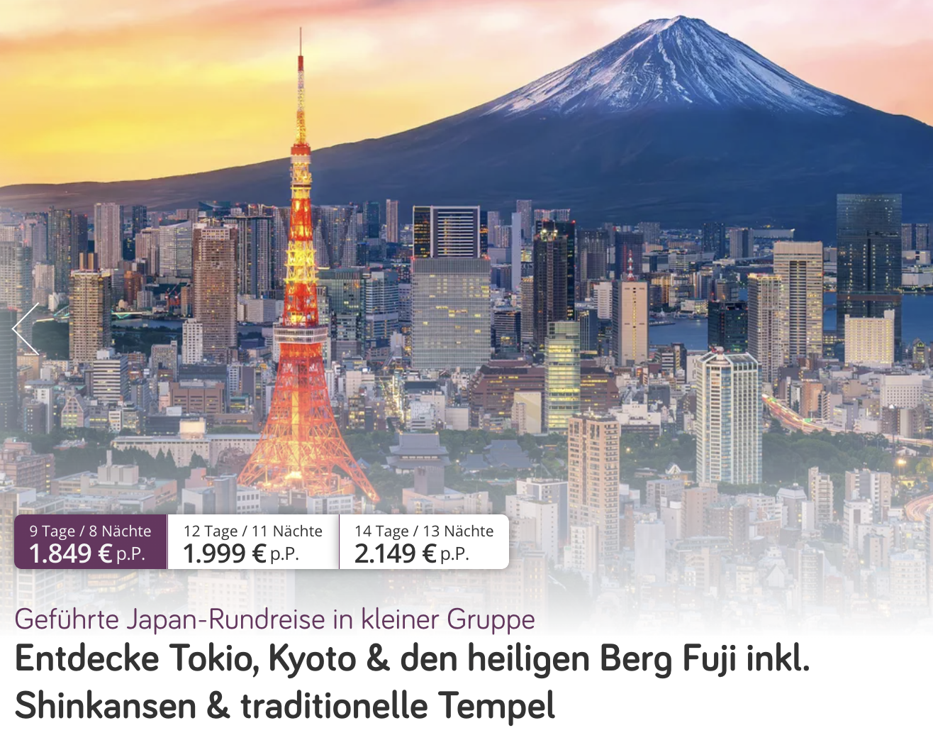 Partner Link vivido_de_packages_wl