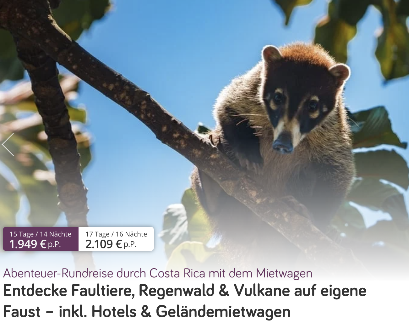 Partner Link vivido_de_packages_wl