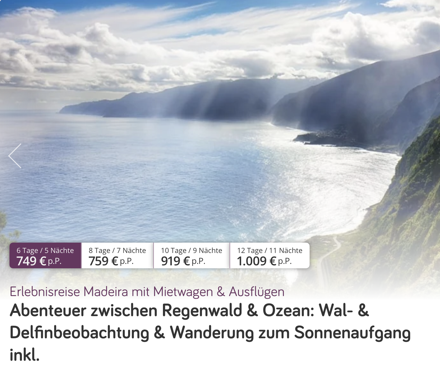 Partner Link vivido_de_packages_wl