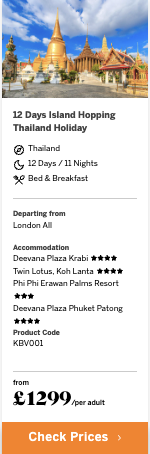 Partner Link flights and packages_uk_packages_direct