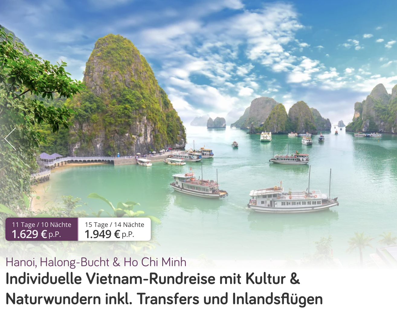 Partner Link vivido_de_packages_wl