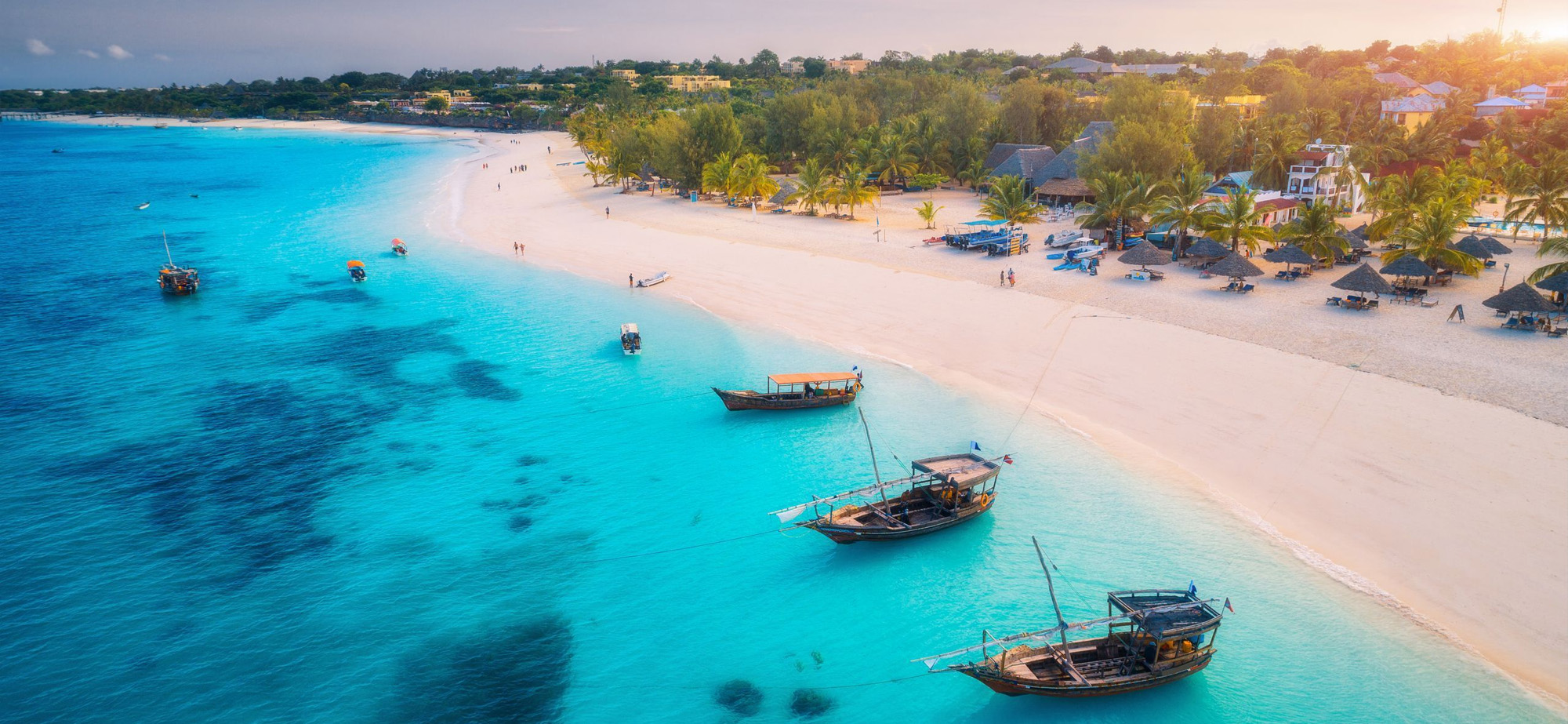 Partner Link ethiopianairlines_it_flights_direct